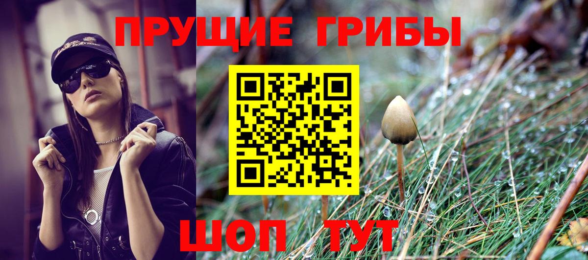Псилоцибиновые грибы Psilocybine cubensis  Вход с VPN  Краснокаменск 